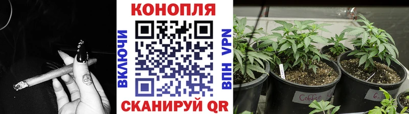 Бошки Шишки ГИДРОПОН  Ува 